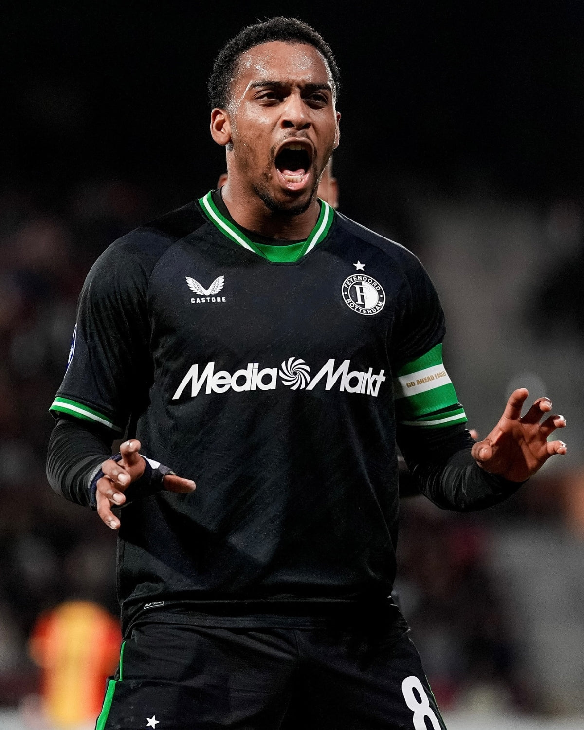 TIMBER QUINTEN 2024-25 (Fey)